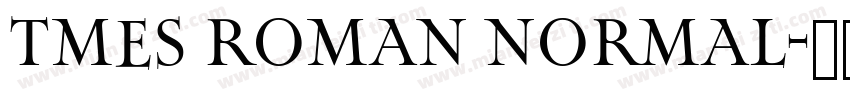 Tmes Roman Normal字体转换
